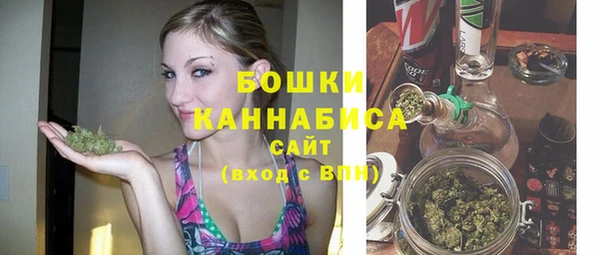 гашик Нефтекумск